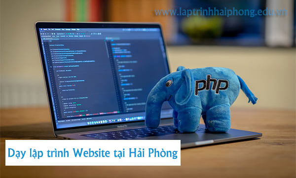 Dạy lập trình website tại Hải Phòng